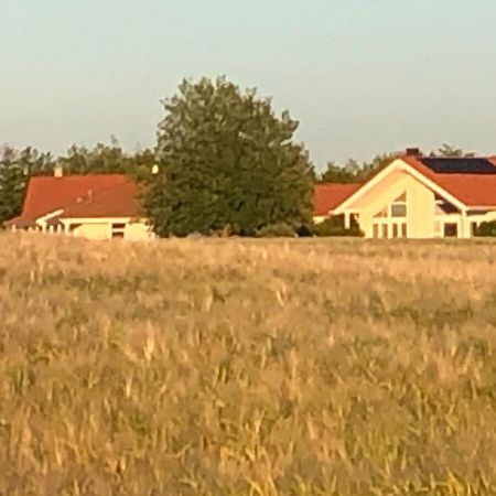 Villa Ostseebrise 特伦特 外观 照片